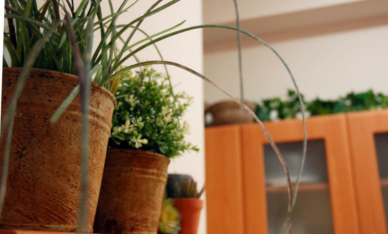 Acropolis, Urban Lifestyle